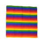 Lenço Arco-Íris 52x52